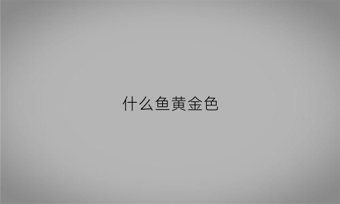 什么鱼黄金色(什么鱼是黄金鱼)