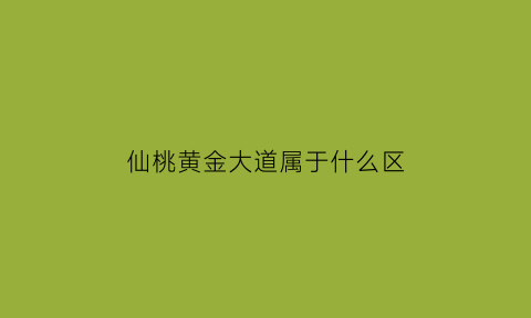 仙桃黄金大道属于什么区(湖北省仙桃市黄金大道属于哪个区县)