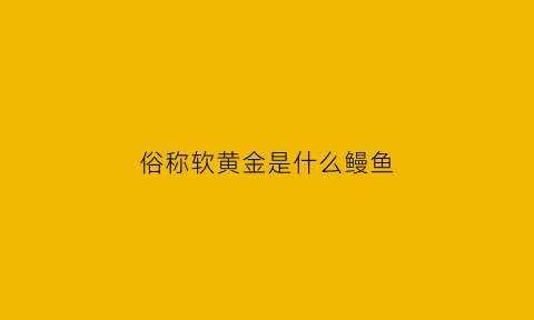 俗称软黄金是什么鳗鱼(俗称软黄金是什么鳗鱼品种)