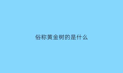 俗称黄金树的是什么(黄金树是什么树木)