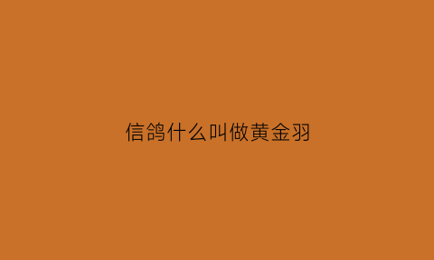 信鸽什么叫做黄金羽