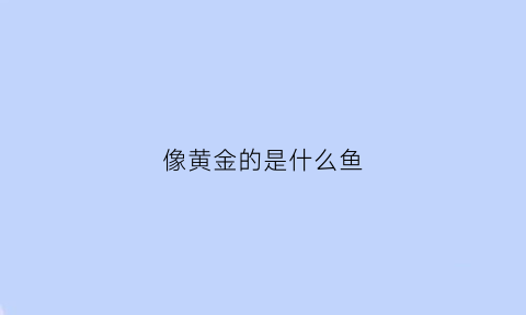 像黄金的是什么鱼(像金鱼的鱼是什么鱼)