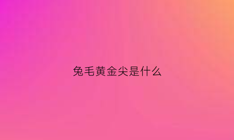 兔毛黄金尖是什么(黄兔毛是黄水晶吗)