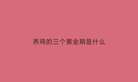 养鸡的三个黄金期是什么