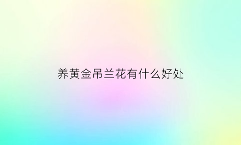 养黄金吊兰花有什么好处(黄金串吊兰)