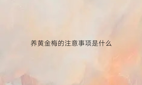 养黄金梅的注意事项是什么(家种养黄金梅好吗)