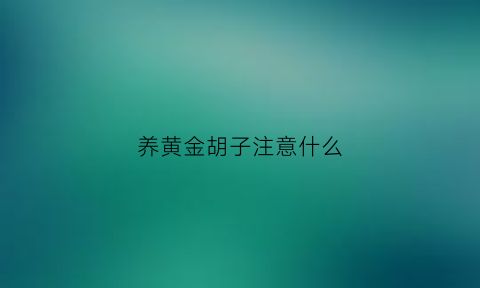 养黄金胡子注意什么(养黄金胡子注意什么)