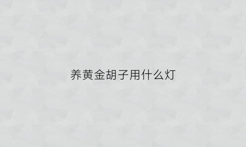 养黄金胡子用什么灯