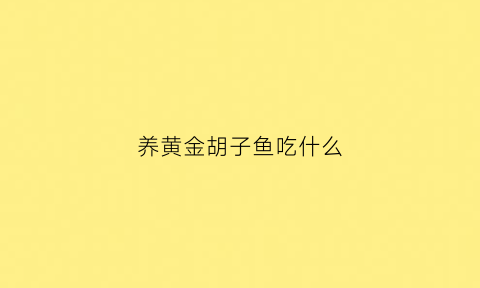 养黄金胡子鱼吃什么