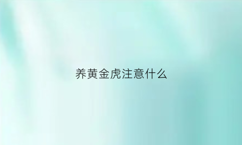 养黄金虎注意什么(养了十多只黄金虎怎么繁殖)