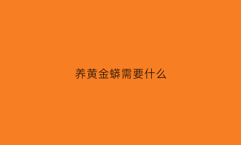 养黄金蟒需要什么(养黄金蟒会坐牢吗)