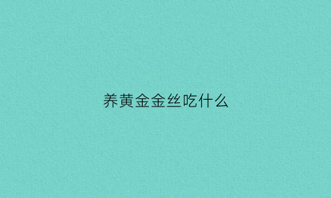 养黄金金丝吃什么(黄金丝鱼怎么养)