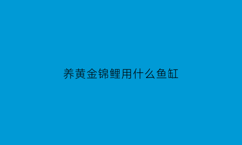 养黄金锦鲤用什么鱼缸(黄金锦鲤怎么养不褪色)