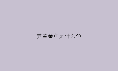 养黄金鱼是什么鱼