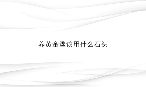 养黄金鳖该用什么石头