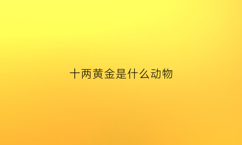 十两黄金是什么动物(十两黄金相当于现在多少钱)