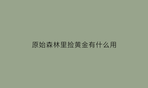 原始森林里捡黄金有什么用(原始森林里捡黄金有什么用吗)