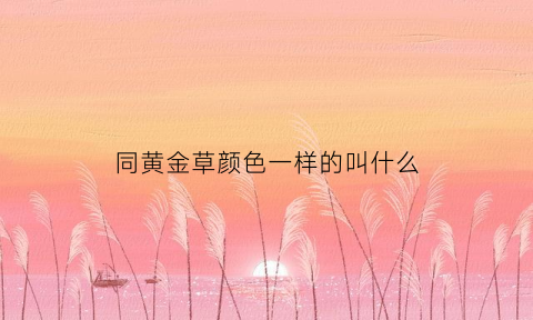 同黄金草颜色一样的叫什么(金草与黄金)