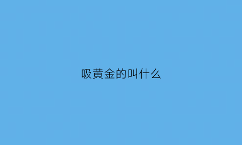 吸黄金的叫什么(用什么能吸黄金)