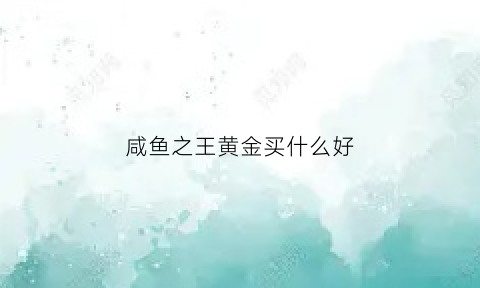 咸鱼之王黄金买什么好(咸鱼之王在哪玩)