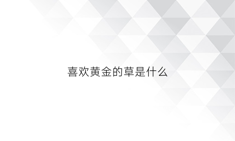 喜欢黄金的草是什么(喜欢和黄金在一起的草是什么草)