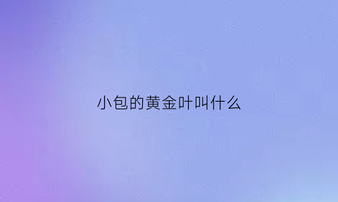 小包的黄金叶叫什么(黄金叶小盒软包多少钱一包)