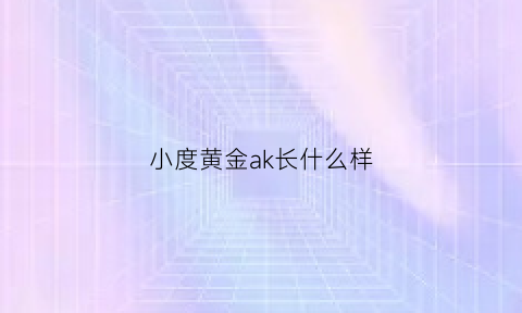 小度黄金ak长什么样(小度黄金ak长什么样图片)