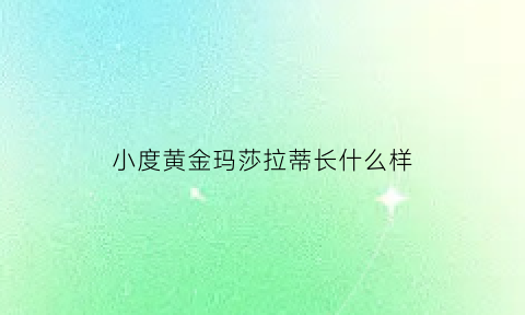 小度黄金玛莎拉蒂长什么样(黄金版玛莎拉蒂)