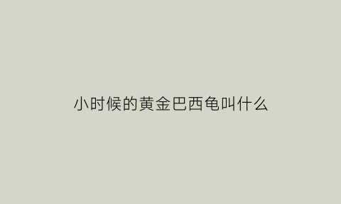 小时候的黄金巴西龟叫什么(小时候的黄金巴西龟叫什么名字)