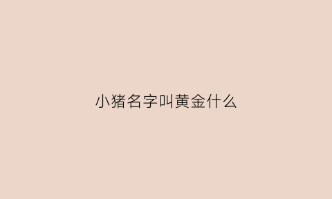 小猪名字叫黄金什么