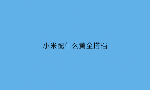 小米配什么黄金搭档