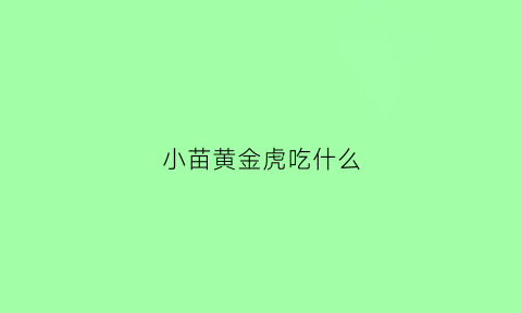 小苗黄金虎吃什么(黄金虎苗子成活率低)