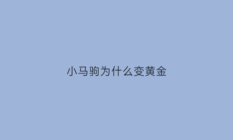 小马驹为什么变黄金(小马驹为什么要离开)