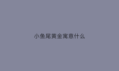 小鱼尾黄金寓意什么