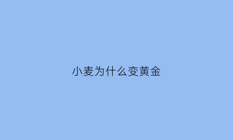 小麦为什么变黄金(小麦为什么会变黄)