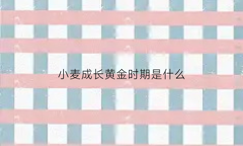 小麦成长黄金时期是什么(小麦成长过程图解大全)