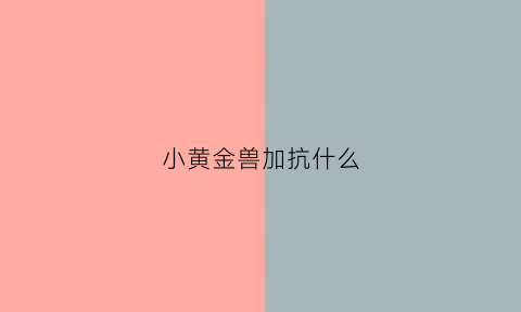 小黄金兽加抗什么(小黄金兽有必要进化吗)