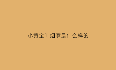 小黄金叶烟嘴是什么样的(小黄金叶口感怎么样)