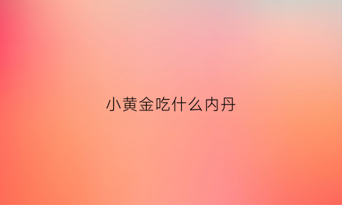 小黄金吃什么内丹(小黄金是什么位置)