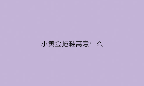 小黄金拖鞋寓意什么