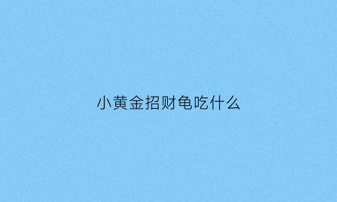 小黄金招财龟吃什么(黄金招财龟能活多久)