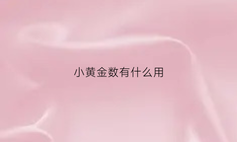 小黄金数有什么用