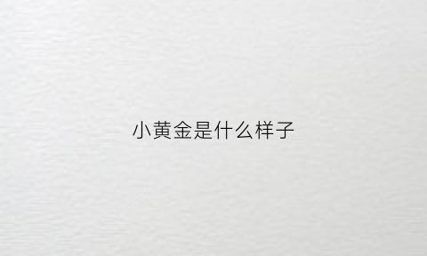 小黄金是什么样子(小黄金是什么样子的)