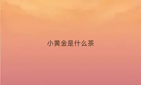 小黄金是什么茶