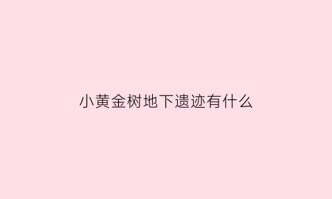 小黄金树地下遗迹有什么