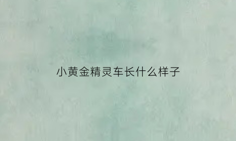 小黄金精灵车长什么样子(小金的精灵)