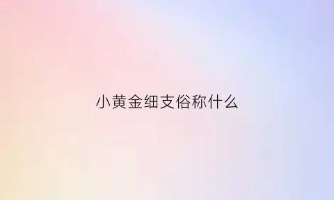 小黄金细支俗称什么(小黄金细支俗称什么)