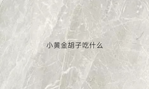 小黄金胡子吃什么