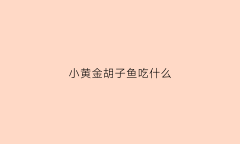 小黄金胡子鱼吃什么