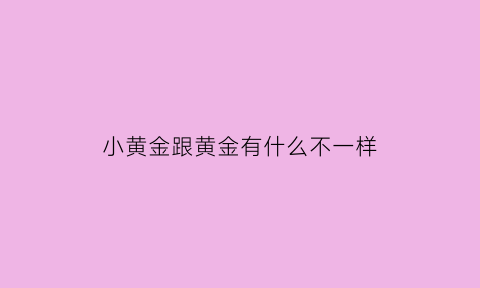 小黄金跟黄金有什么不一样(小黄金什么意思)